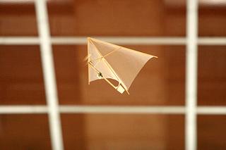2007-04-23 12:44:31