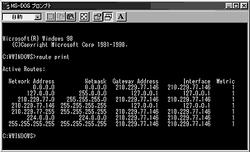 (}8)Windows98DOSvvgroute print[eBOe[u