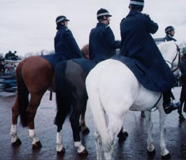 冬のおまわりさん