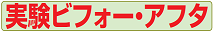 実験ビフォー・アフタ